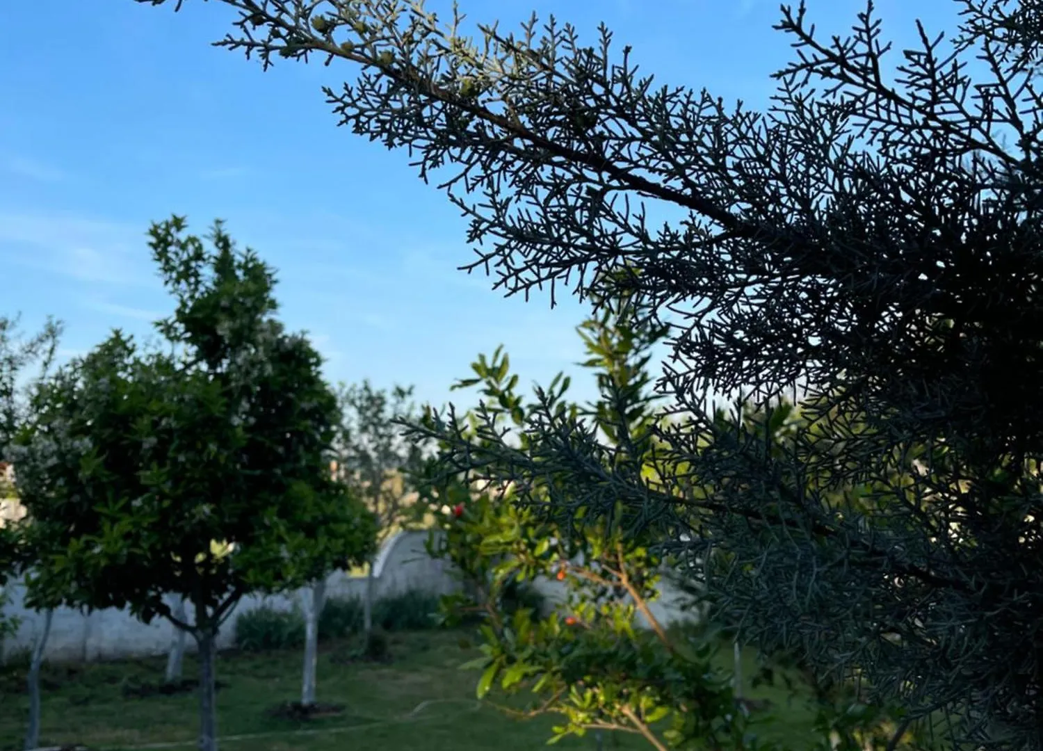 Gerea'S Holiday House Durrës Albânia