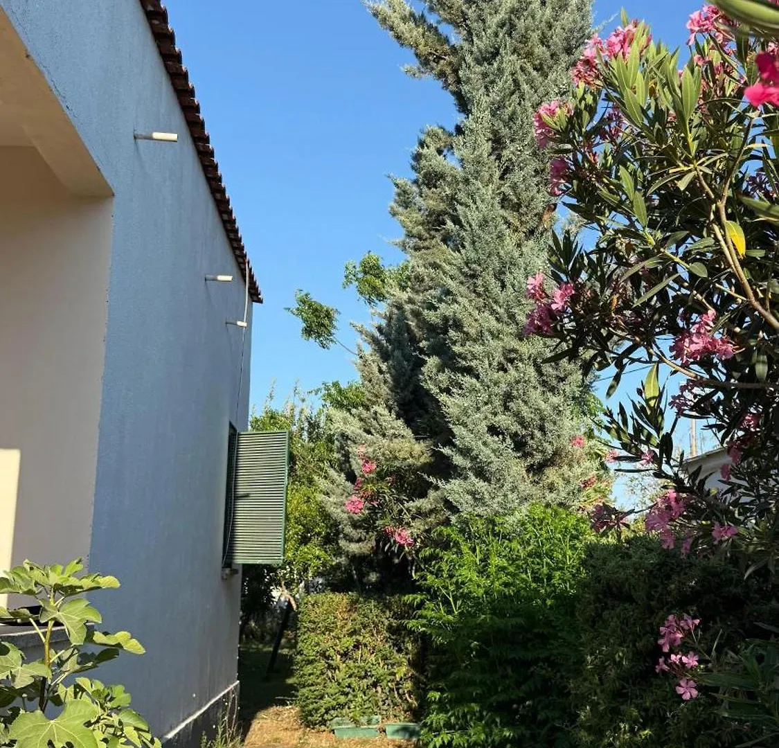Gerea'S Holiday House Durrës